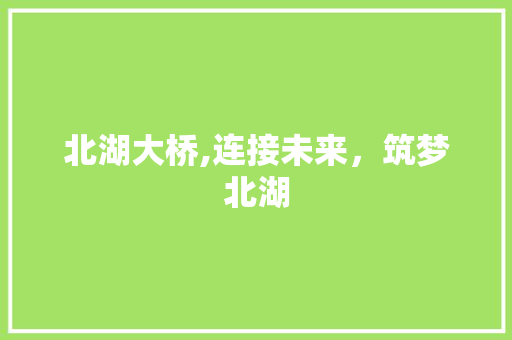 北湖大桥,连接未来，筑梦北湖