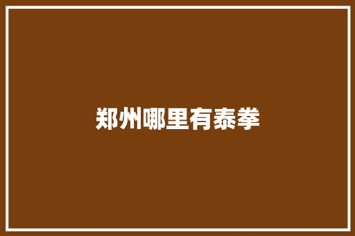 郑州哪里有泰拳
