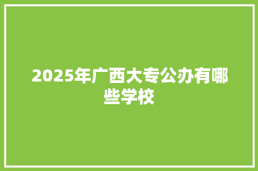 2025年广西大专公办有哪些学校