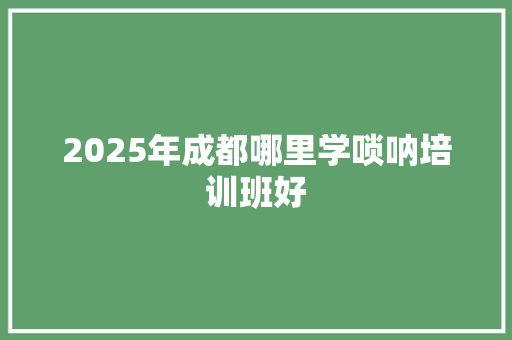 2025年成都哪里学唢呐培训班好