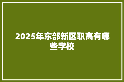 2025年东部新区职高有哪些学校