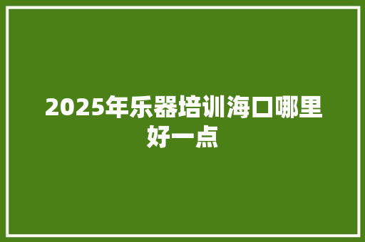 2025年乐器培训海口哪里好一点