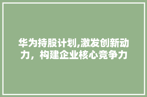华为持股计划,激发创新动力，构建企业核心竞争力