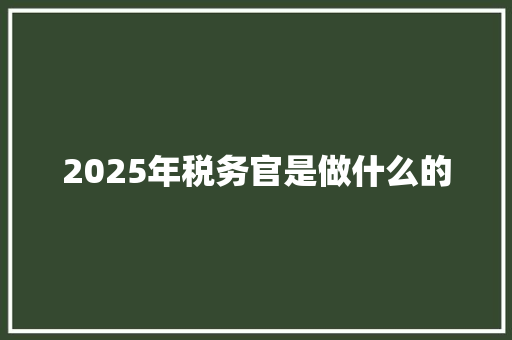 2025年税务官是做什么的