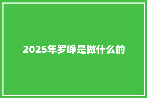 2025年罗峥是做什么的