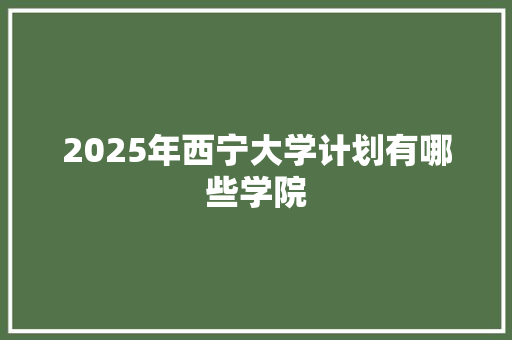 2025年西宁大学计划有哪些学院