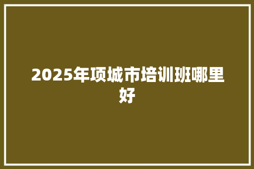 2025年项城市培训班哪里好