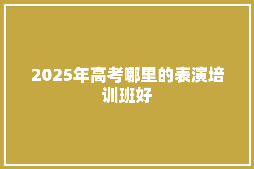 2025年高考哪里的表演培训班好