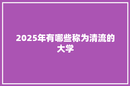 2025年有哪些称为清流的大学