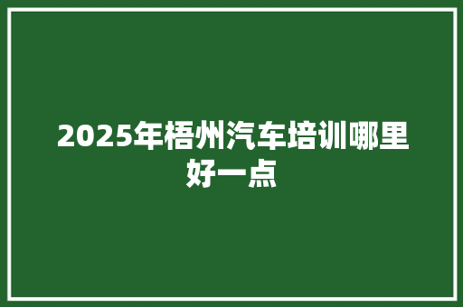 2025年梧州汽车培训哪里好一点