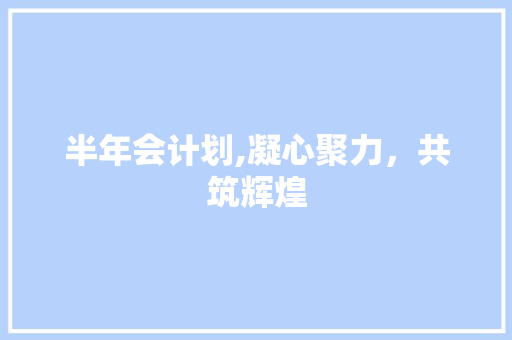 半年会计划,凝心聚力，共筑辉煌
