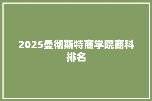 2025曼彻斯特商学院商科排名