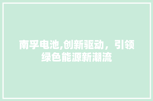 南孚电池,创新驱动，引领绿色能源新潮流