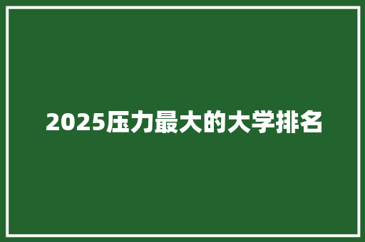 2025压力最大的大学排名