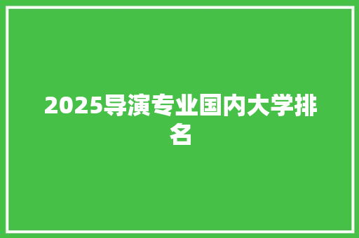 2025导演专业国内大学排名