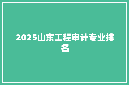 2025山东工程审计专业排名