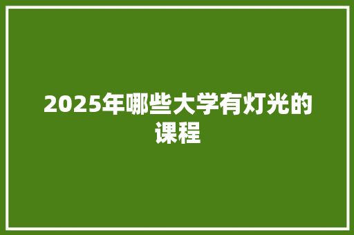 2025年哪些大学有灯光的课程 近义词汇