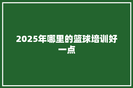 2025年哪里的篮球培训好一点