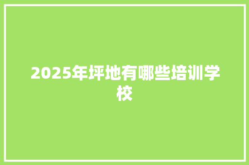 2025年坪地有哪些培训学校