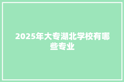 2025年大专湖北学校有哪些专业