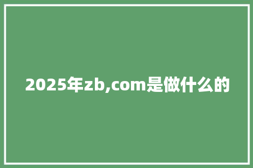 2025年zb,com是做什么的