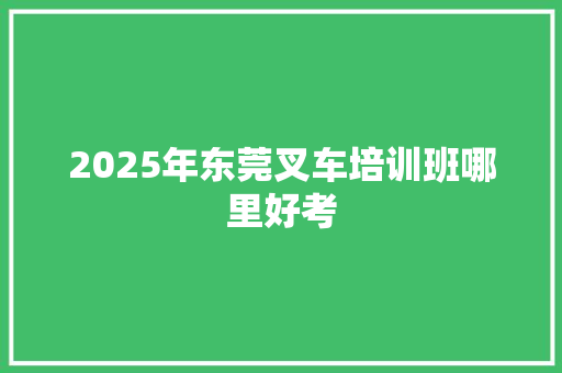 2025年东莞叉车培训班哪里好考