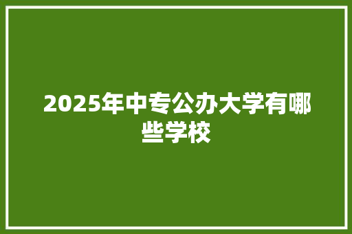 2025年中专公办大学有哪些学校