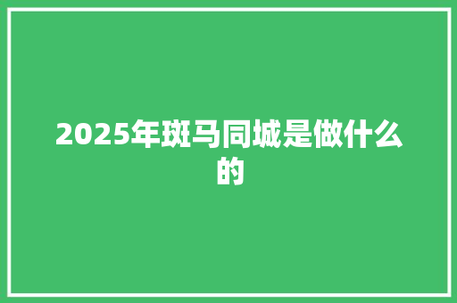 2025年斑马同城是做什么的