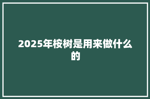 2025年桉树是用来做什么的