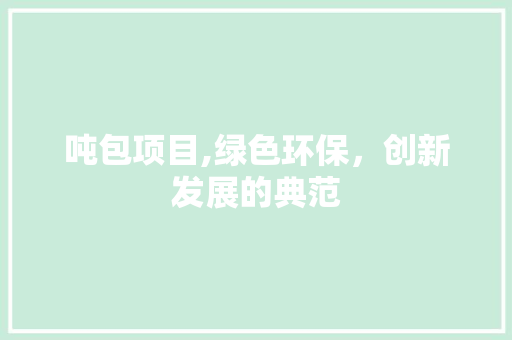 吨包项目,绿色环保，创新发展的典范