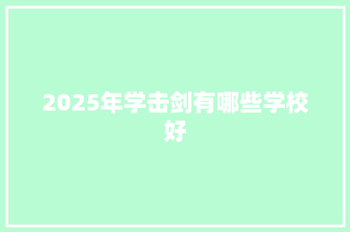2025年学击剑有哪些学校好