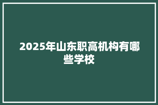 2025年山东职高机构有哪些学校