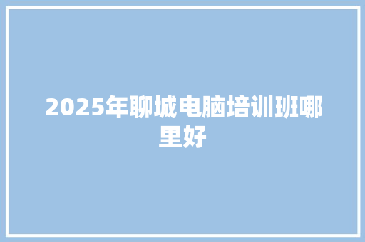 2025年聊城电脑培训班哪里好
