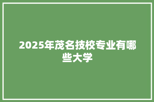 2025年茂名技校专业有哪些大学