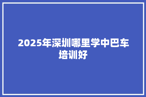2025年深圳哪里学中巴车培训好