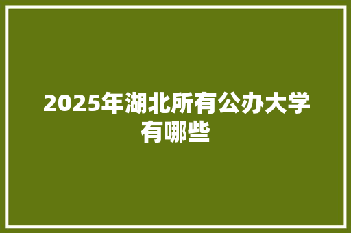 2025年湖北所有公办大学有哪些