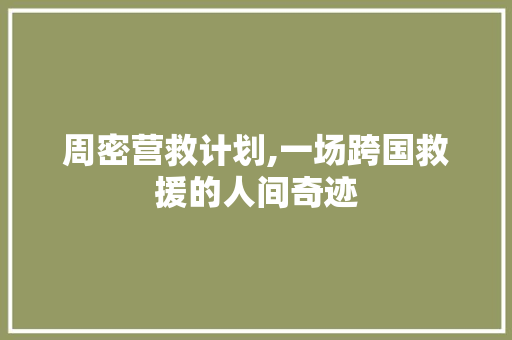 周密营救计划,一场跨国救援的人间奇迹