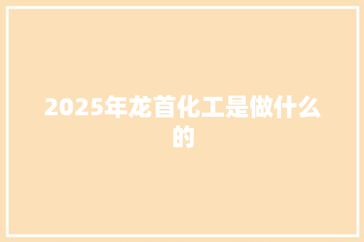 2025年龙首化工是做什么的
