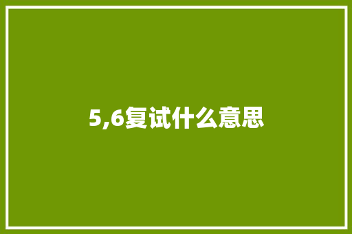 5,6复试什么意思