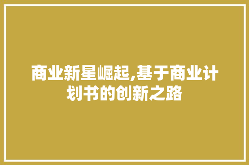 商业新星崛起,基于商业计划书的创新之路