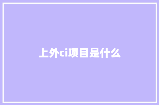 上外ci项目是什么