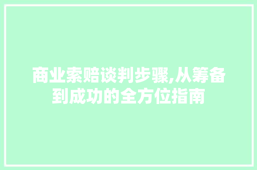 商业索赔谈判步骤,从筹备到成功的全方位指南