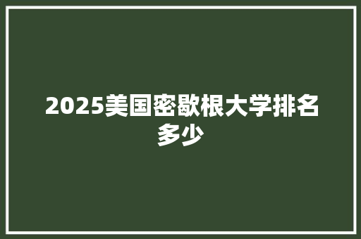 2025美国密歇根大学排名多少