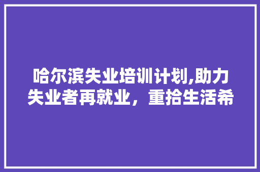 哈尔滨失业培训计划,助力失业者再就业，重拾生活希望